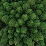 VITO from Belgium new Sponsor